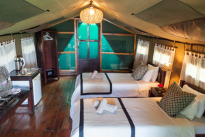 3474-hi-res-300dpi (1)