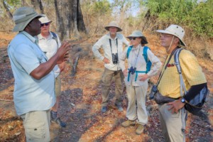 African Walking Safari