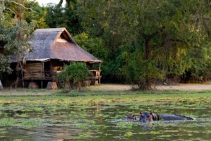Mfuwe Lodge (5