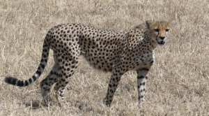 Screen Shot 2019-01-19 at 13.54.14