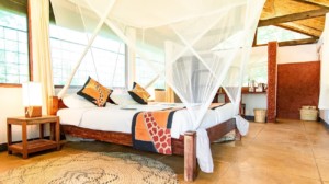 Thornicroft Lodge Chalet