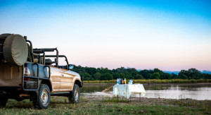 Thornicroft Sundowner 3