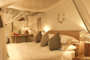 kanyemba-mid-res-agents-1003