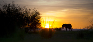 kanyemba-mid-res-agents-1016