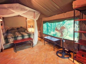 maramba-river-luxury-2-800x600