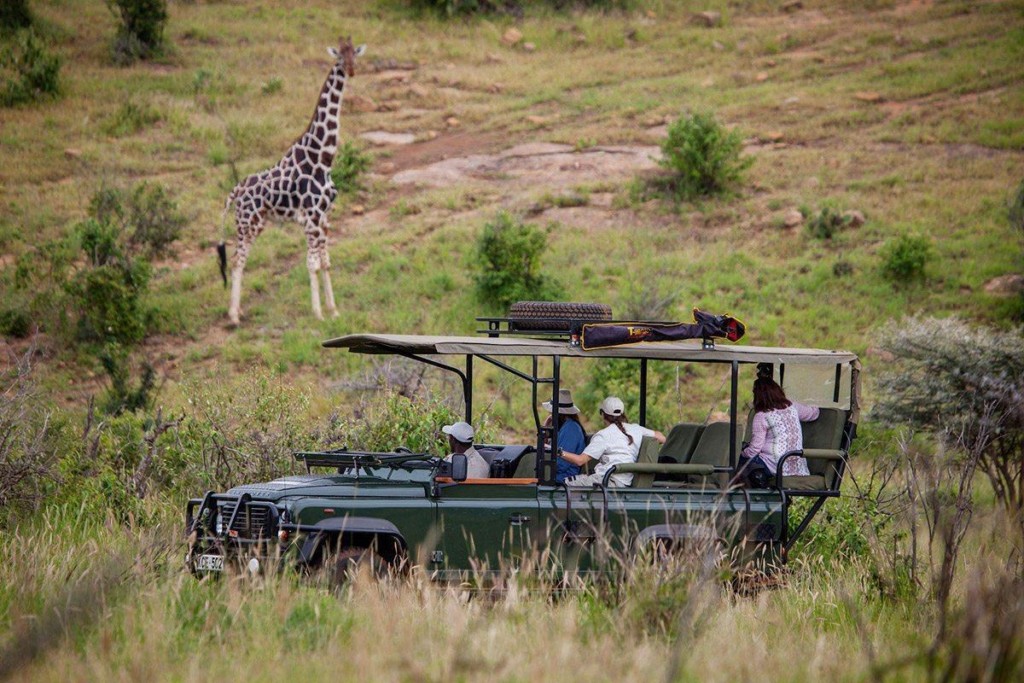 safari tours