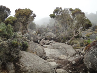 Africa Natural Tours towards Kilimanjaro