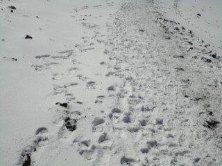 africa natural tours Tz