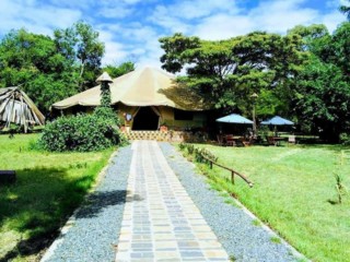 58419570_323592604968740_7018065849739116544_n (1)