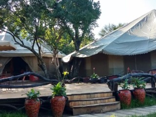 68330812_377947956199871_2245508120388304896_n (1)