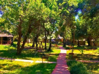 68736474_380311672630166_6049900910354628608_n (1)