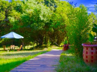 微信图片_20190626154157