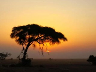 微信图片_20190802030143