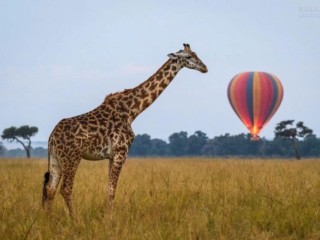 微信图片_20190802154754