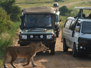 masai_mara_game_drives