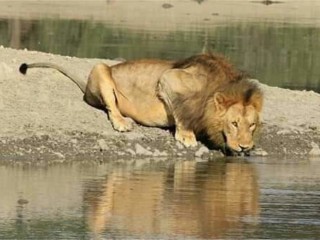 0bc40f71-649d-459f-9929-9053c1b0f19a