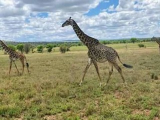 42df6c52-deb8-4abf-ab52-288a4025b631