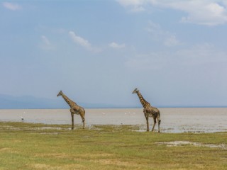Lake Manyara