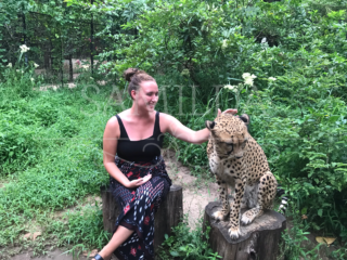 53F21F41-37EC-43DE-B82D-273C21786BD9