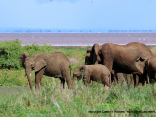 DWatters Creativewatters-8