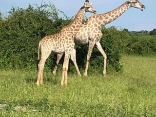 FB_IMG_1612557298030