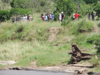 YHA Kenya Travel,Adventure Safaris, Mara River , wildlife safaris, safaris offered, adventure tours, great rift valley (3)