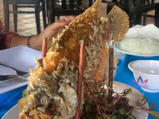 WhatsApp Image 2022-11-28 at 00