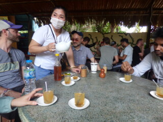 bee honey test in mekong