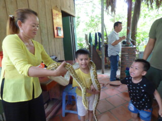 mekong full day in the orchird