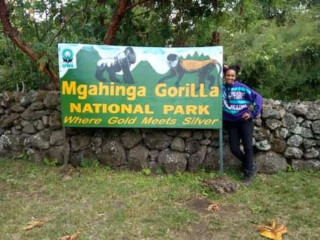 gorillanestsafaris.com