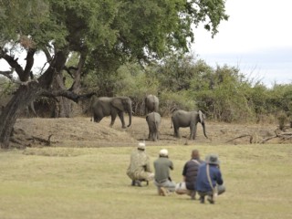 Lion Camp by Mantis Elephant on foot