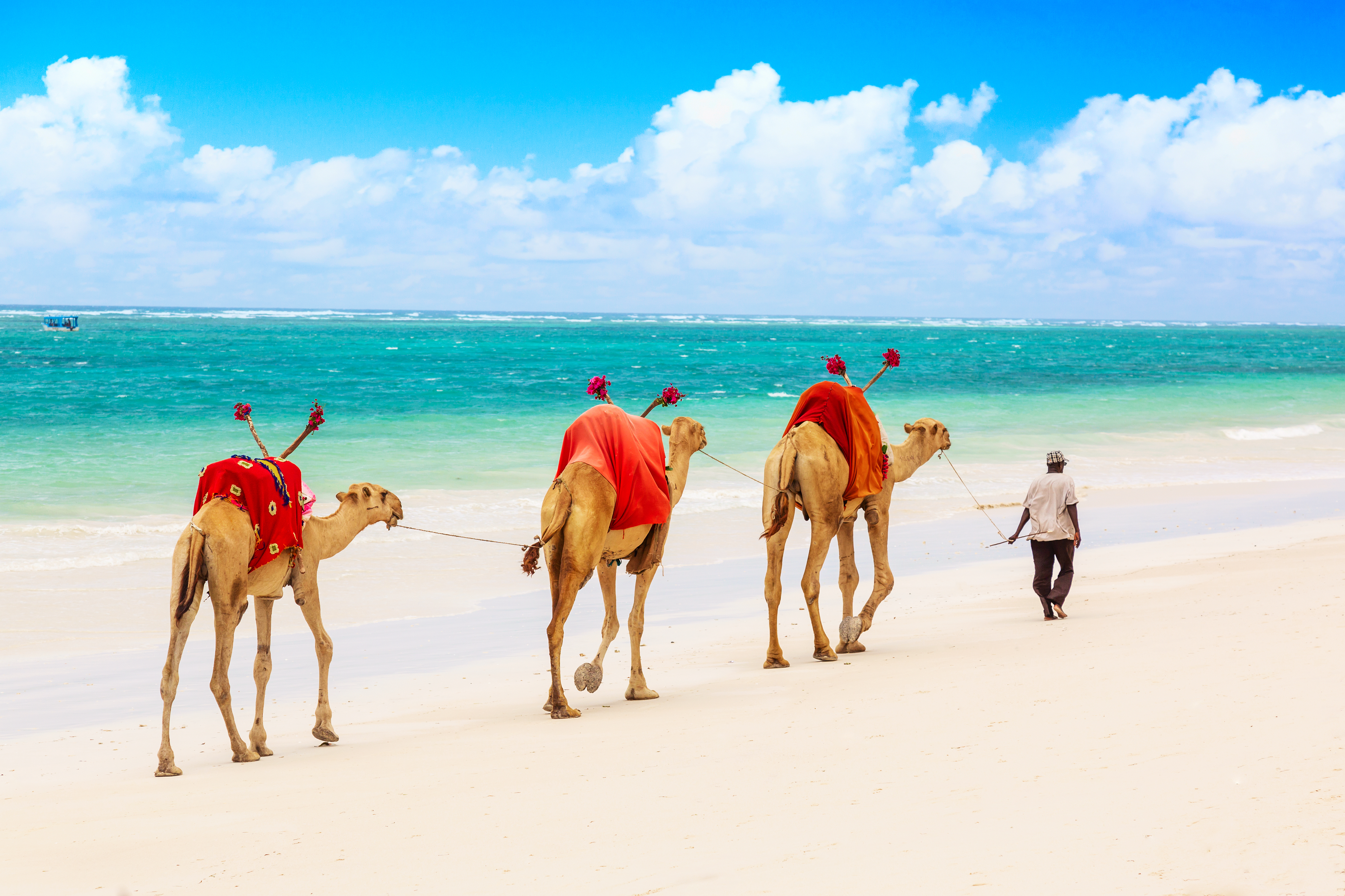 Why You Should Travel to Mombasa, Kenya, in Your Lifetime