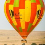 Profile picture of African Paradise Safaris