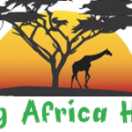 Profile picture of Excitingafrica