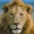 Profile picture of Siraj