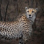 Profile picture of ZANZIBAR ROYAL TOUR