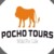 Profile picture of Pocho Tours