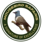 Profile picture of Mousebird Safaris