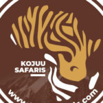 Profile picture of kojuu safaris africa