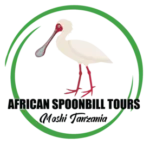 Profile picture of AFRICAN SPOONBILL TOURS & SAFARIS