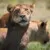 Profile picture of LetswanderTanzania