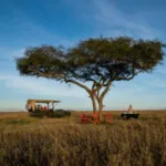 Profile picture of Mtoto Safaris