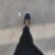 Profile picture of Mendes Adriana