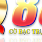 Profile picture of QH88 Damncool